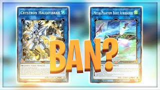 Which One Is The Real Problem ? Needlefiber Vs Auroradon