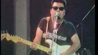 LOS LOBOS "All I Wanted To Do Is Dance" chords