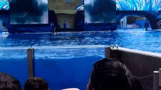 One Ocean Part 2