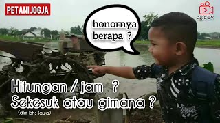 Biaya sewa Traktor sawah