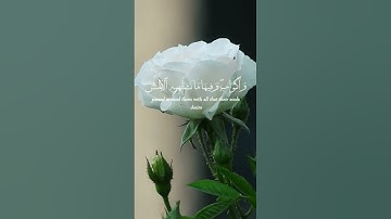 استغفر الله العظيم واتوب اليه. القارئ #احمد_النفيس ،سورة الزخرف. #quran #القرآن #القرآن_الكريم