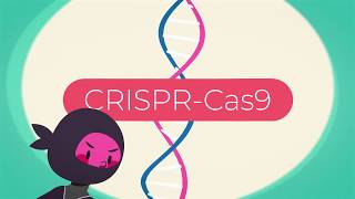 CRISPR: All You Need to Know