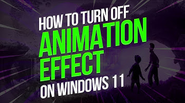 How to Turn off Animation Effects on Windows 11 2025 [New Method]