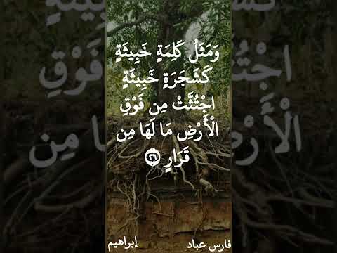 فارس عباد و م ث ل ك ل م ة خ ب يث ة ك ش ج ر ة خ ب يث ة اج ت ث ت م ن ف و ق ال أ ر ض