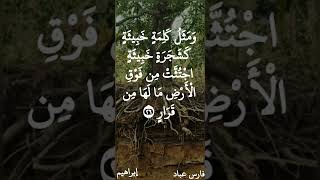 فارس عباد / وَمَثَلُ كَلِمَةٍ خَبِيثَةٍ كَشَجَرَةٍ خَبِيثَةٍ اجْتُثَّتْ مِن فَوْقِ الْأَرْضِ