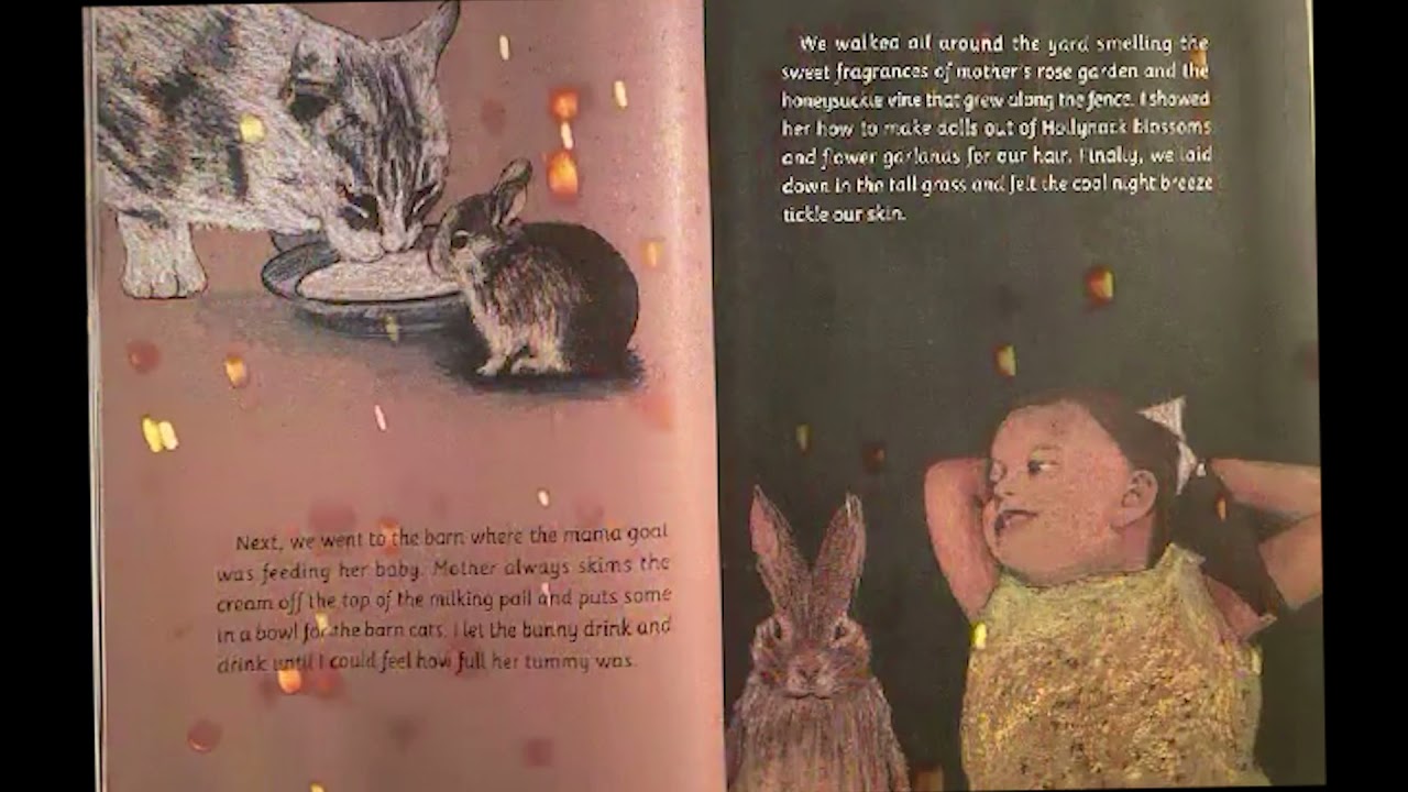 The Storybook Gnome: Episode 3-The Blind Bunny