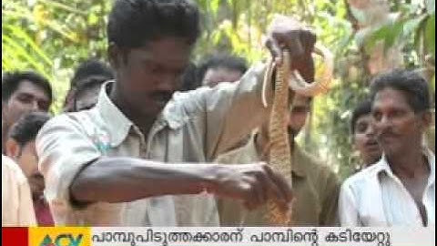 Cobra attacks Vava Suresh (Live visuals)