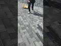 roof repair