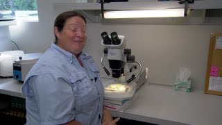 CFTOD Mosquito Control