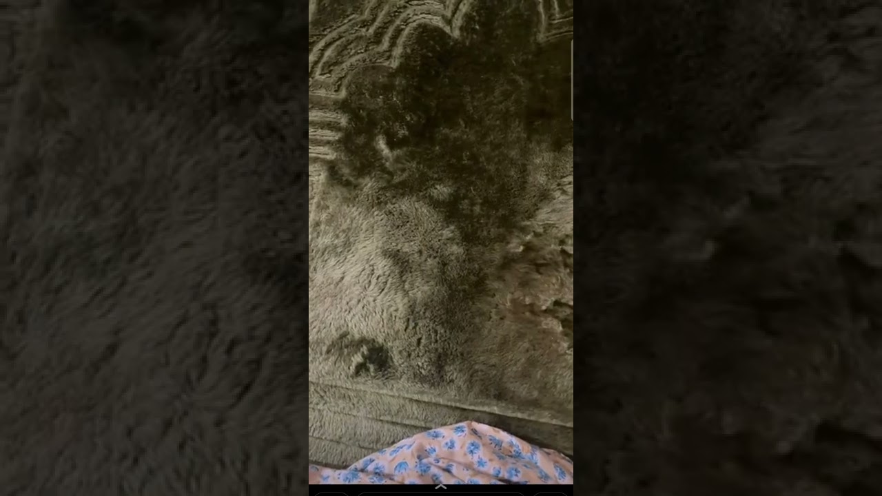 قصه د اسماء من موظفة براتب ١٥٠٠الي مليونيره بشهادة دكتوراه / مجداء القحطاني/لا تستسلم للمواقف الصعبه