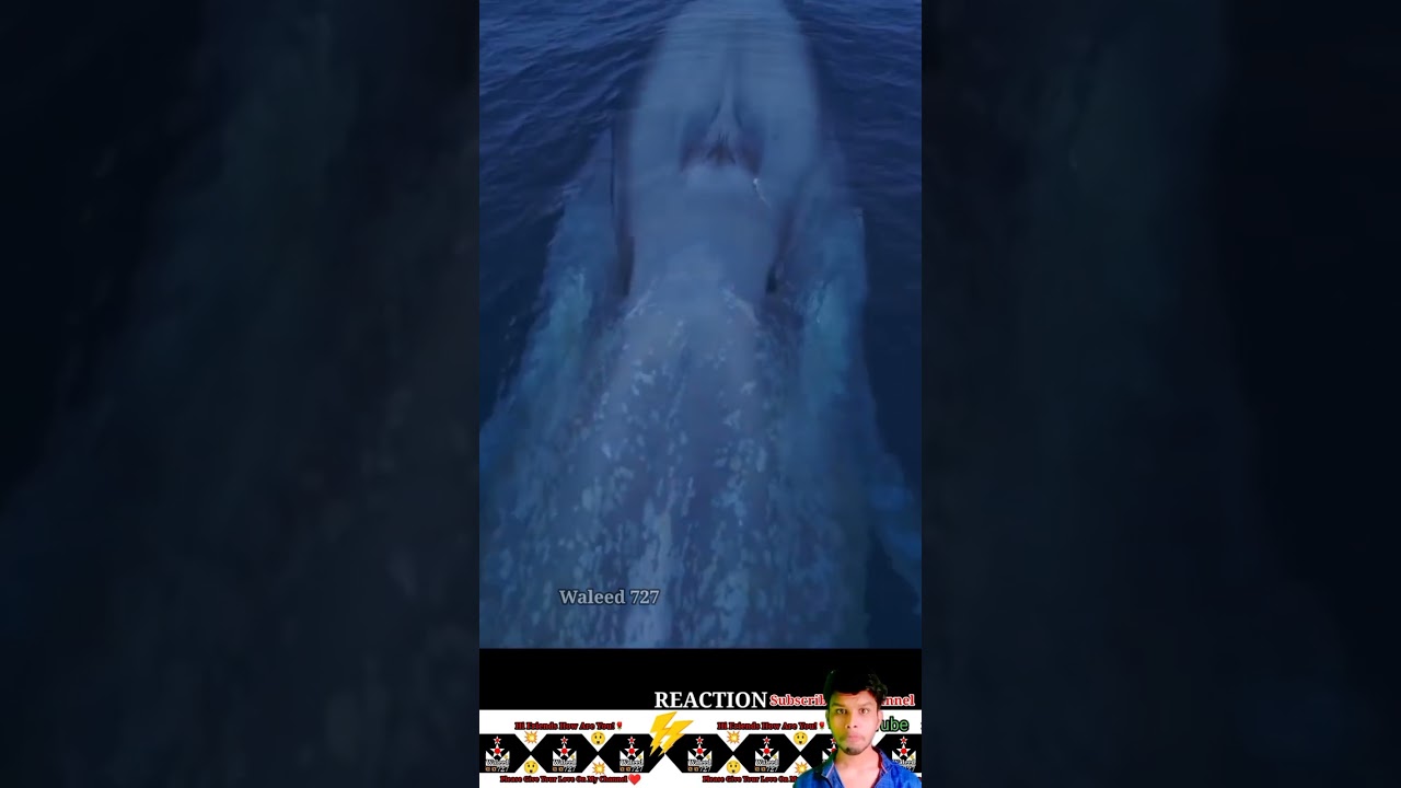 respect 🔥🔥part-21😲 