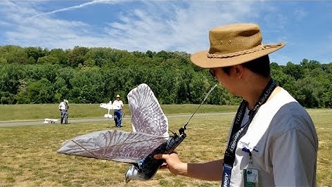 Improving Flapping Wing Aerodynamics - Podcast #55