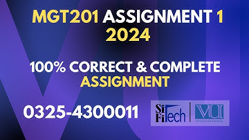 MGT201 Assignment 1 Spring 2024 | mgt 201 assignment 1 solution 2024