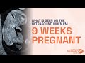 الأسبوع التاسع من الموجات فوق الصوتية للحمل تطور الدماغ والقلب والجنس 