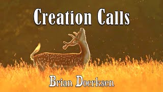 Video thumbnail of "Creation Calls - Brian Doerksen - with Lyrics"