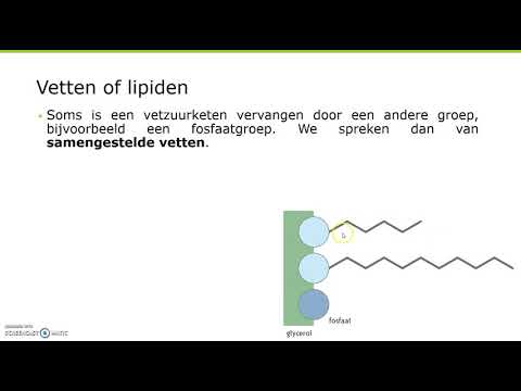 Vetten of lipiden