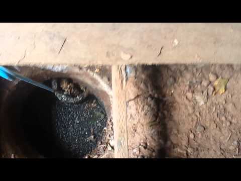 Video Septic tank inlet baffle plugged - youtube