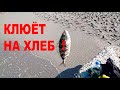 Ловлю сокара. Рыбалка в море на удочку.