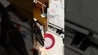 Room floods 4 hrs before anatomy exam