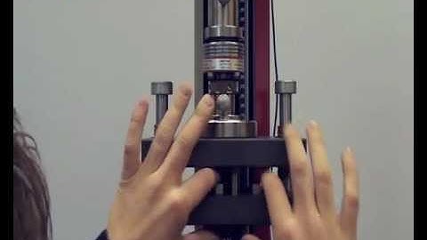 Short span and edge crush test - Streifenstauch- und Kantenstauchversuch