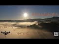 3 Hours of Nature Sounds | Perfect for Relaxation and Stress Relief | Sleep Music | Meditation Music