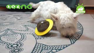 Kadtc Brand Amazon Top Dog Puzzle toys brain stimulating game smart treat toy KADTC00631 screenshot 1