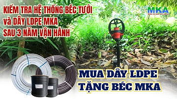 Chất lượng béc MK99 và ống LDPE 25mm của MKA sau 3 năm vận hành | Khuyến mãi lớn cuối năm của MKA