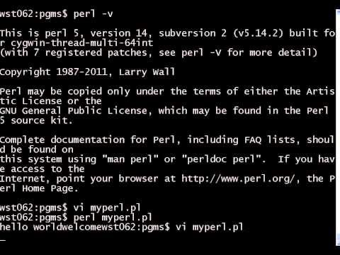 Perl 1 Print and Variables