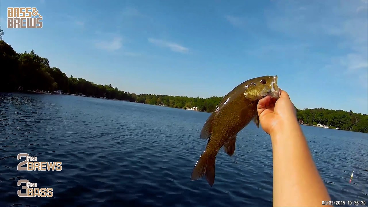 Bass & Brews fishing Pine Lake Waukesha Wisconsin YouTube