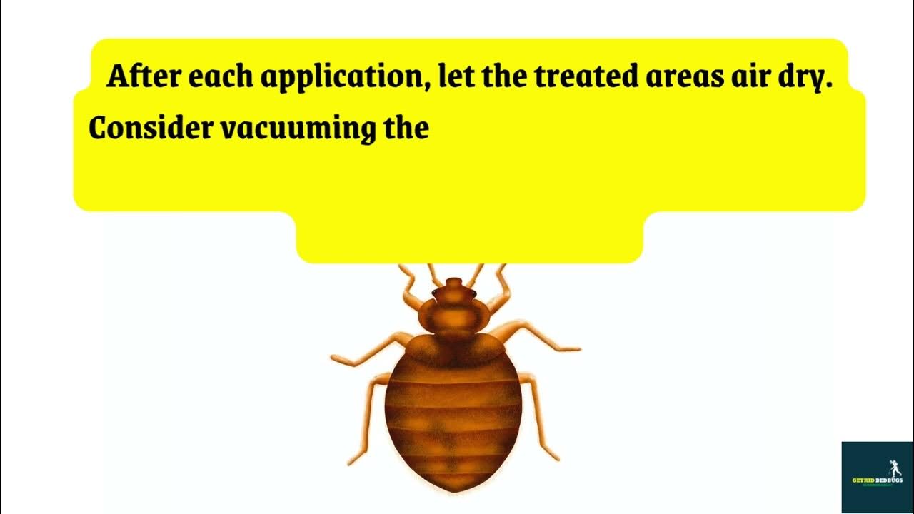 Natural Bed Bug Killer Recipe
