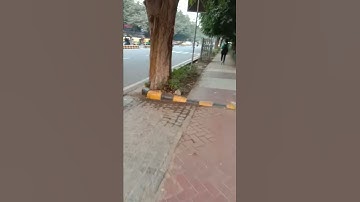 Ignou Solved Assignment MHI 10 2018-19