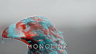 Monolink - The Prey (Mind Against Remix) Resimi