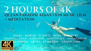 2HRS of 4K Ocean Paradise - Undersea Nature Relaxation Film + Meditation by How To Have Fun Outdoors 947 views 2 months ago 2 hours, 7 minutes
