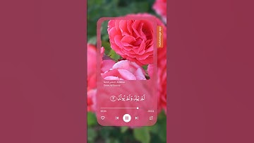 سورة الإخلاص/ بصوت الشيخ ياسر الدوسري/ القرآن الكريم #القرآن_الكريم #gaza #yasseraldossary #اكسبلور