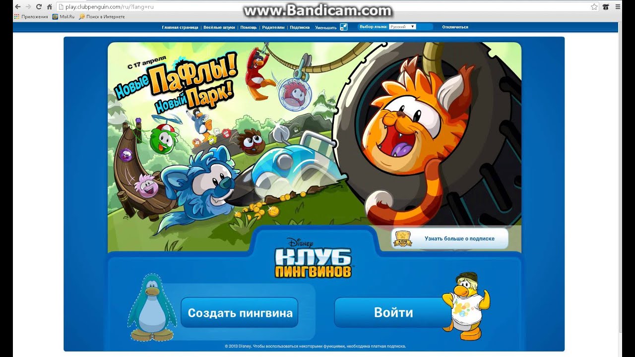 видеообучение клуб пингвинов - YouTube