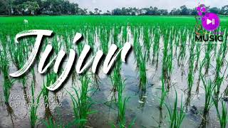 JUJUR || Emek Aryanto (Cover) Music Tarling Top