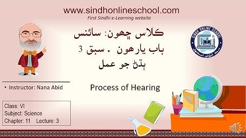 Hearing Process| Science Class 6| Chapter 11| Lecture 3| by Nana Abid| Sindh Online School