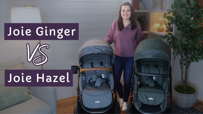 Aazon.co : Joie Ginger And Rue Travel Syste – 4-in-1 Travel Syste