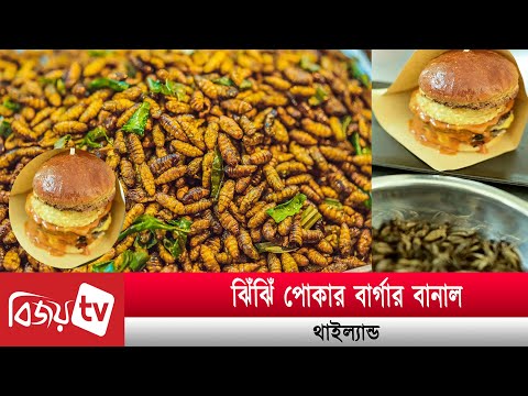 ভিডিও: দক্ষিণপূর্ব এশীয় খাবার: প্রতিটি দেশে কী খাবেন