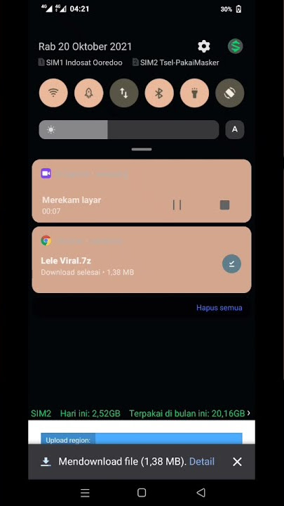 Ni yang lagi viral di tik tok lele pubg