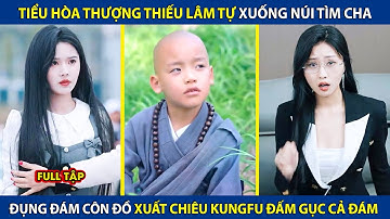 Tiểu Hòa Thượng Thiếu Lâm Tự Xuống Núi Tìm Cha, Đụng Đám Côn Đồ Xuất Chiêu Kungfu Đấm Gục Cả Đám