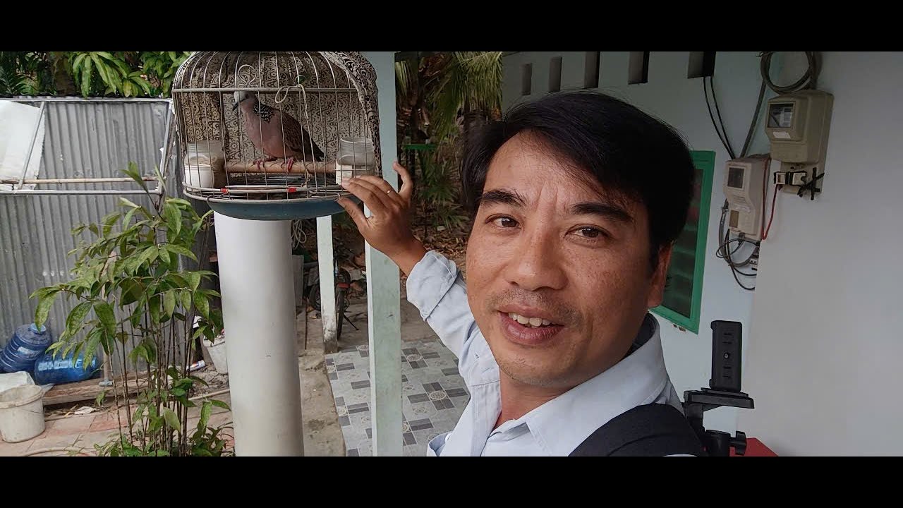 Ông ấy là cao thủ nuôi cu gáy