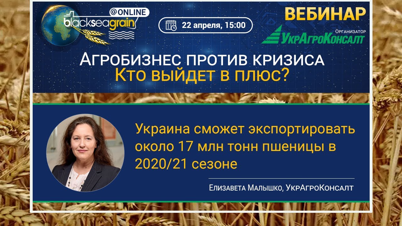 Елизавета Малышко: Украина сможет экспортировать около 17 млн тонн пшеницы в 2020/21 сезоне