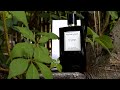 Van Cleef & Arpels Bois Doré ~ GaVo* Perfumery