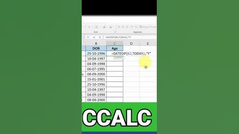 age calculator #excel #1millionviews #formulas #automatically #sorts #viralvideo
