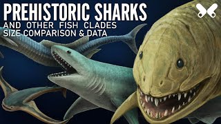 SHARKS and other PREHISTORIC FISH. size comparison and data