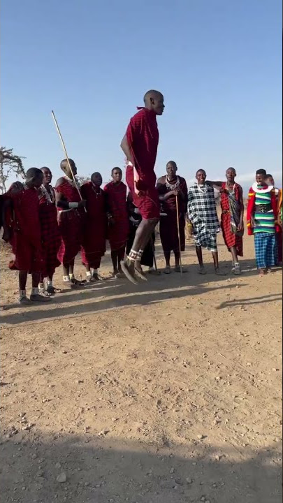 The traditional Adumu Dance that the Maasai perform during rituals (or for tourists!)