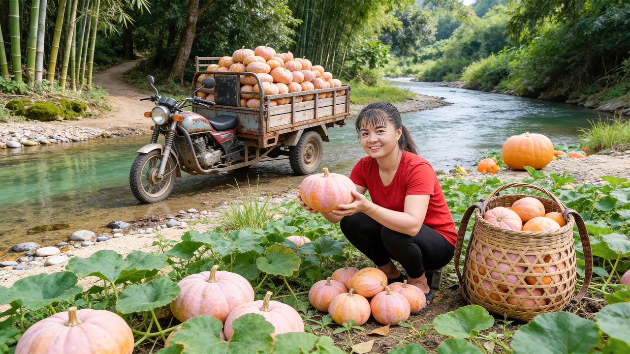 TIMELAPSE -- Harvest 1000+ Rare Red Pumpkin, Go to Market Sell & Cooking Pumpkin Flower