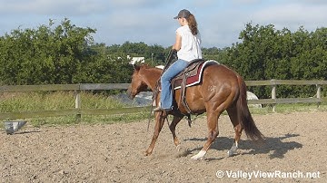 WT R U Jelous Yet - bridleless working flag - ValleyViewRanch.net