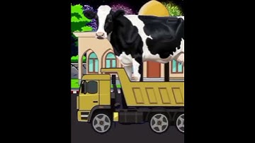 truk oleng Angkut sapi kurban takbiran keliling idul adha 2025 #takbiran #allahuakbar #fyp